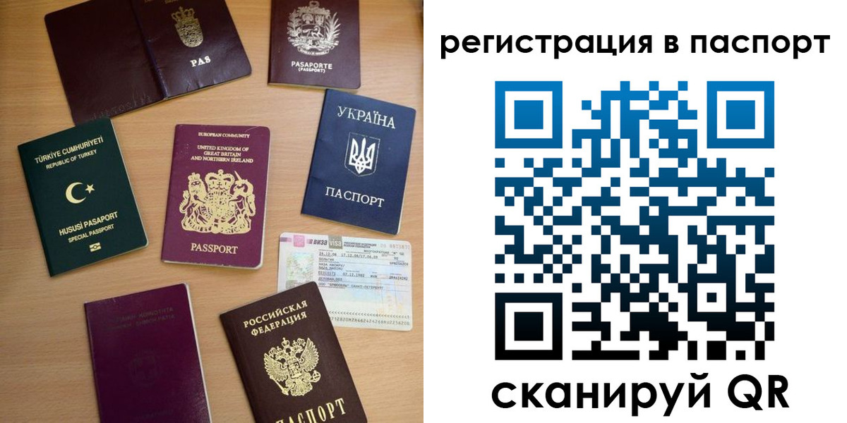прописка поиск в Александрове